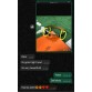qiqiyg.com Official Reviews 2025 New Fashion Whatsapp:+8613489598361 QR035